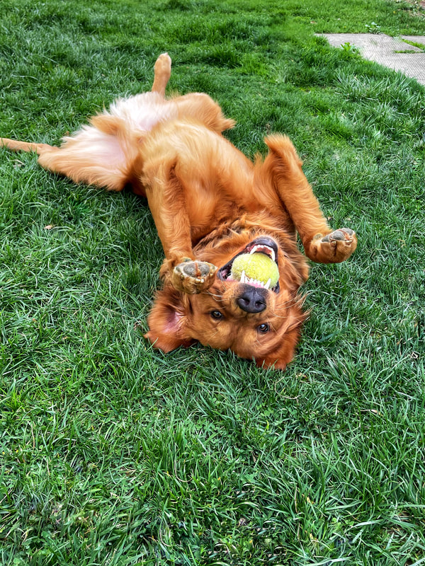 Duke loves to be goofy and have fun outside!